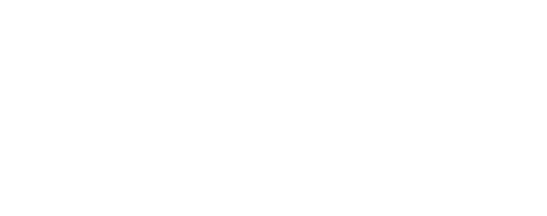 Ally Bank